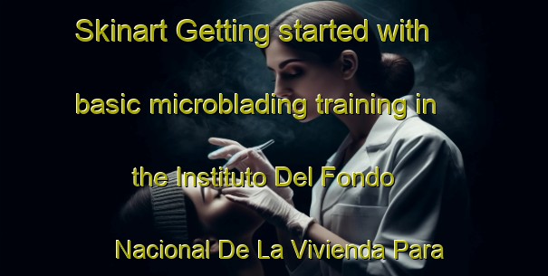 Skinart Getting started with basic microblading training in the Instituto Del Fondo Nacional De La Vivienda Para Los Trabajadores Santa Maria El Agora area | MicrobladingTraining | MicrobladingClasses | SkinartTraining-Mexico